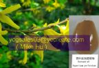  St. John'S Wort P.E. 